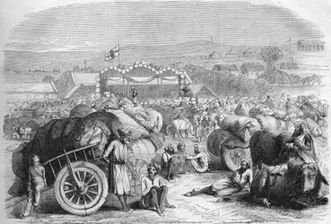 Índia inglesa 1872: O mercado de algodão de Khangaon.