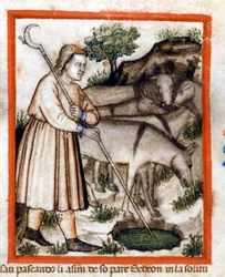 Esa grazes burros - o Pentateuco. Miniatura do códice 212 (ou códice padovano ou Bíblia de Pádua) 1390-1400 Rovigo, Accademia dei Concordi