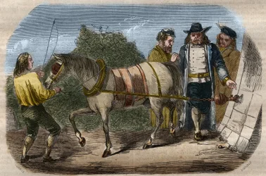 Experiência de Otto von Guericke (Otto de Guericke