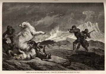 Lute com um urso polar protegendo seu bebê, a matilha de cães a ataca e os caçadores, armas de fuzil, espere pelo momento certo para atirar nela. Gravura para ilustrar a viagem ao mar livre do pólo Ártico, pelo Dr. Hayes, cirurgião do