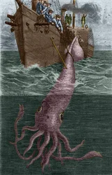 Pescando uma lula gigantesca pela corveta francesa l