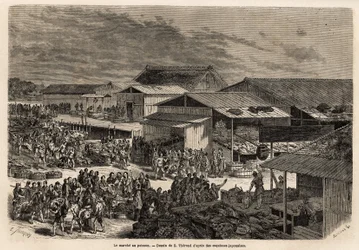 Vista geral do mercado do peixe, com o porto dos barquinhos das mercadorias, os barracos e as barracas de apresentação dos produtos, e o palco para venda às casas de leilão, com a animação animada que reúne o local: portfaix, sellers e m