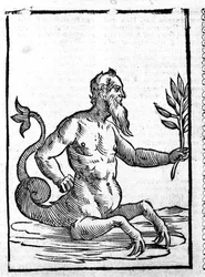 Glaucos com a erva mágica que lhe permitirá viver no mar - em Mythologiae sive explicationis fabularum de Natalis Comitis. Patavia