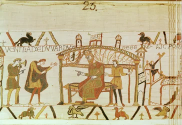 Harold vem perante o Rei Eduardo, Bayeux Tapestry (bordado de lã em linho)