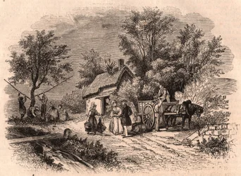Colheita, de, maçãs, em, normandy, frança