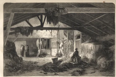 Moradia de um comerciante de trapos na rue de la Montagne Sainte Genevieve em Paris no 5º arrondissement. gravura de 1861