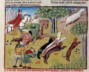 Como caçar o veado miniatura de "O livro de caça" de Gaston III Phoebus, Conde de Foix, Senhor de Bearn (1331-1391)