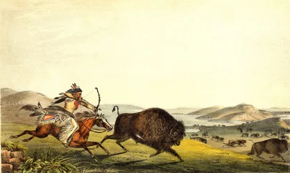 A caçar bisontes na América do Norte. Sd. Século XIX.