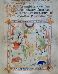 Página iluminada de ovelhas e pastores, parte do Codex de Varmondo, C.1000