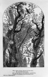 Ilustração de "Ode a um rouxinol" do poeta John Keats (1795-1821) Século XIX