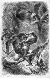 Ilustração publicada na edição de 1862 do "Le Tour du monde" que retrata uma batalha entre um dayak e um orangotango (orangotango, orangotango, orangotango) na ilha de Bornéu. Gravura.