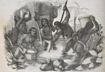 Índios da Ilha de Hispaniola à procura de ouro
