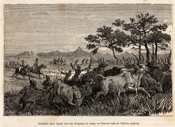 Baris indígenas (população do Sudão) armas de arcos e flechas, fugindo com os rebanhos confiscados por Sir Baker, para evitar que ataquem outras tribos da região, a fim de saque e escravização, uma gravura ilustrando uma expe