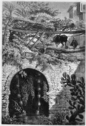 Irrigação no Egipto: um boi gira uma roda à volta da qual se enrolam baldes. Gravura em "Le Monde Illustré" n°1313 de 27 de Maio de 1882.