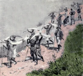 Comércio do marfim: caravana de transportadores congoleses carregam defesas de elefantes. Gravura do século XIX
