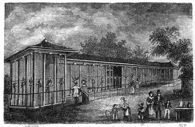 Jardin des Plantes em Paris, em 1861: falcoaria.