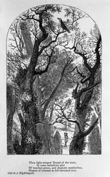 John Keats: Ode a uma casa noturna