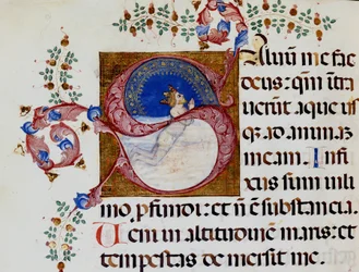 Lettrine S: David na Luz Profunda - Antiphonary do século XV. Bíblia Municipal de Rimini.