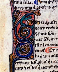 Lettrine decoree de um monstro gótico lembrando as gárgulas Detalhe do manuscrito do século XIV.