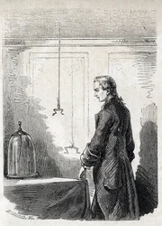 Luigi Galvani provoca contracções de rãs por electroímanes - LUIGI GALVANI (1737-1798) Médico e especialista em medicina italiana. Causa Contrações em um Sapo com Eletricidade de um Thundercloud