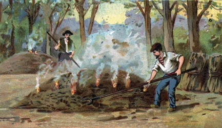 Fabricação de carvão vegetal, forno de combustão. Cromolitografia do final do século XIX.