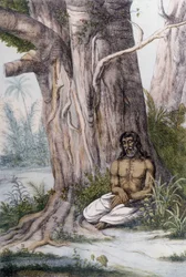 Meditação ao pé de uma árvore, Índia.