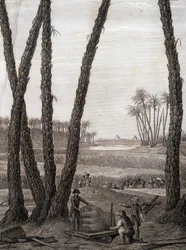 Memphis, vista das ruínas (cientistas e artistas trabalhadores) - em "Descrição do Egito", Edições Imperiais