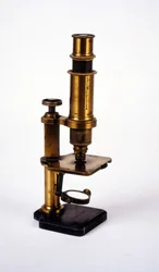 Microscópio. Século XIX