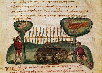 Cena de caça ao urso miniatura da caça "The Cynegetics" de Oppian (Oppian ou Oppianus) da Síria (século III d.C.) dedicada a Caracalla. Veneza do século XI. Biblioteca Marciana