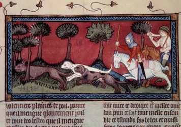 Caça à raposa em miniatura a partir de manuscrito fr. 1297 "Livro do Rei Modus e da Rainha Ratio" de Henri de Ferrieres (século XIV)