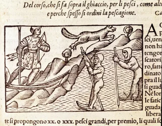 Caçadores noruegueses em movimento através de esquis. gravura de Olaus Magnus (1490 - 1557), religioso e geógrafo sueco, "Historia de Gentis Septentrionalibus", Veneza