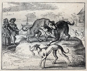 Antigo provérbio inglês: dois cães disputam um osso e o terceiro leva-o