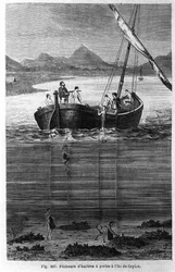 Pescadores de pérolas no Ceilão (actualmente Sri Lanka).