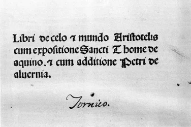 Philosophiae Pauperum de Alberto o Grande (= Albert Magnus 1206 - 1280), teólogo e filósofo alemão. Brescia