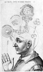 Fisiognomia (frenologia) de Collectio Operum de Robert Fludd (Robertus de Fluctibus). Londres 1617