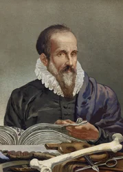 Retrato de Ambroise Paré (1509-1590), cirurgião francês. de "La Ciencia y sus Hombres" de Louis Figuier. Barcelona 1881