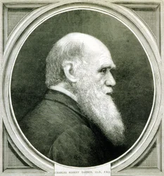 Retrato de Charles Darwin (1809 - 1882)