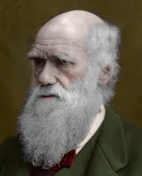 Retrato de Charles Darwin