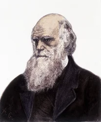 Retrato de Charles Robert Darwin, naturalista britânico (1809-1882)