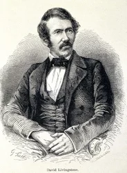 Retrato de David Livingstone, missionário escocês (1813-1873)