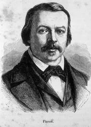 Retrato de Flocon, jornalista e político francês (1800 - 1866)