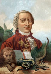 Retrato de Georges Louis Leclerc, Conde de Buffon (1707 - 1788), naturalista e escritor francês. Cromolitografia do século XIX. depois de "La Ciencia y sus Hombres", de Louis Figuier. Barcelona 1881