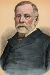 Retrato de Louis Pasteur (1822-1895), químico e biólogo francês.