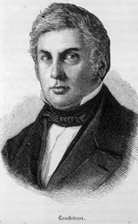 Retrato de Michel Goudchaux