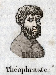Retrato de Theophraste (372 AC- 287 AC), filósofo grego.