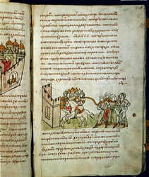 Crónica de Radziwill, pormenor