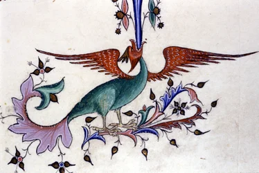 Representação de uma asa de dragão. Miniatura de um manuscrito do século XIV. Milão, Biblioteca Nazionale Braidense.