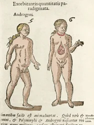 Representação de um andrógino e de um hermafrodita. Prancha retirada de De natura divinis caracteris de Cornelio Gemma, 1575