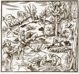 Rhabdomancy - rhabdomancie - Exploração de um campo mineiro usando a varinha de condão - Homens cortam e usam varas de adivinhação para localizar minerais - De "De re metallica" por Georgius Agricola (Georg Bauer), Basiléia