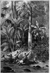 Desenvolvimento rodoviário na América Central: Atravessando o Istmo do Panamá. Jangada descendo o curso do Rama. De um desenho de um oficial de expedição do Capitão Bedford Pim. Gravura em "O Universo Ilustre".